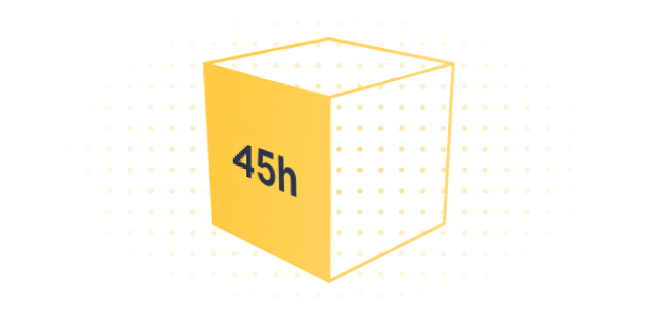 LEVEL 1